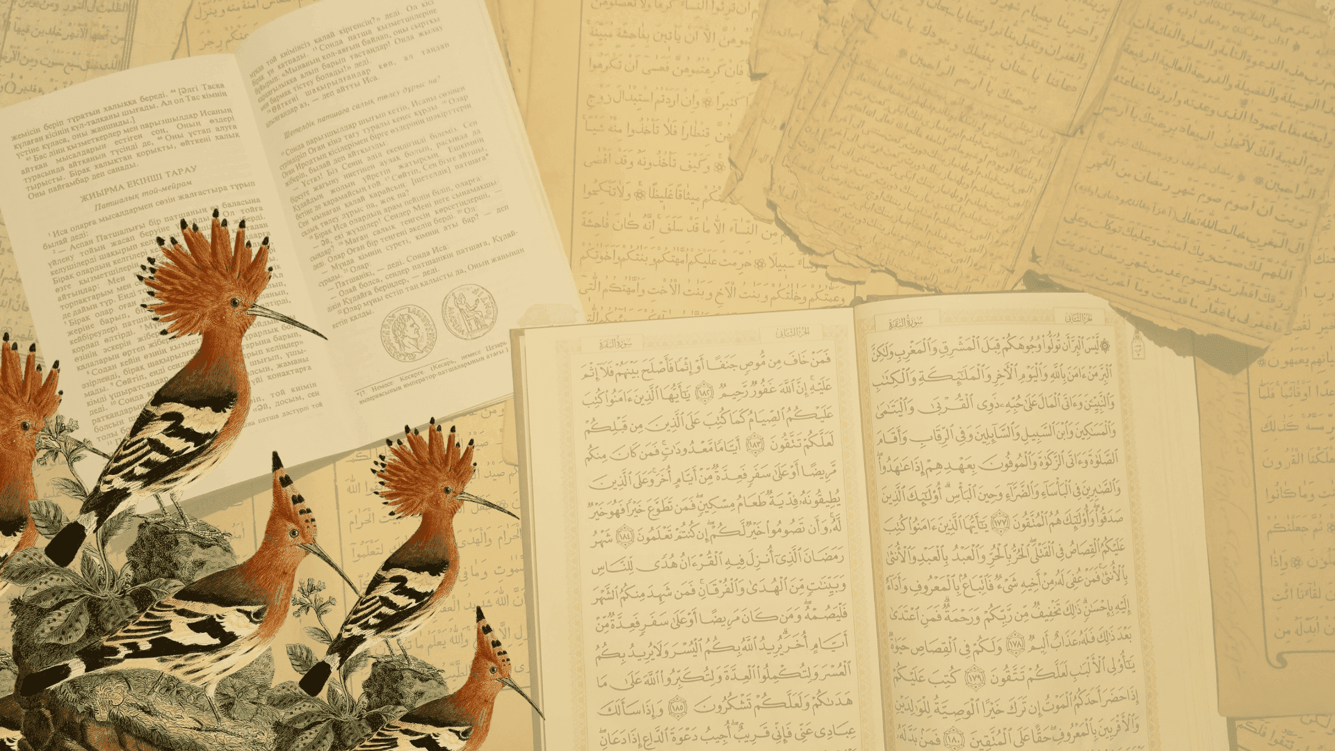 Pourquoi apprendre l'arabe classique transforme votre pratique